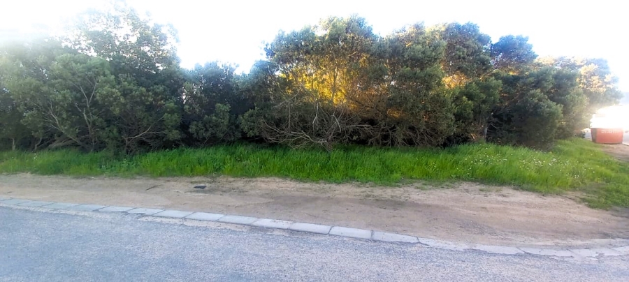 0 Bedroom Property for Sale in Shelley Point Western Cape